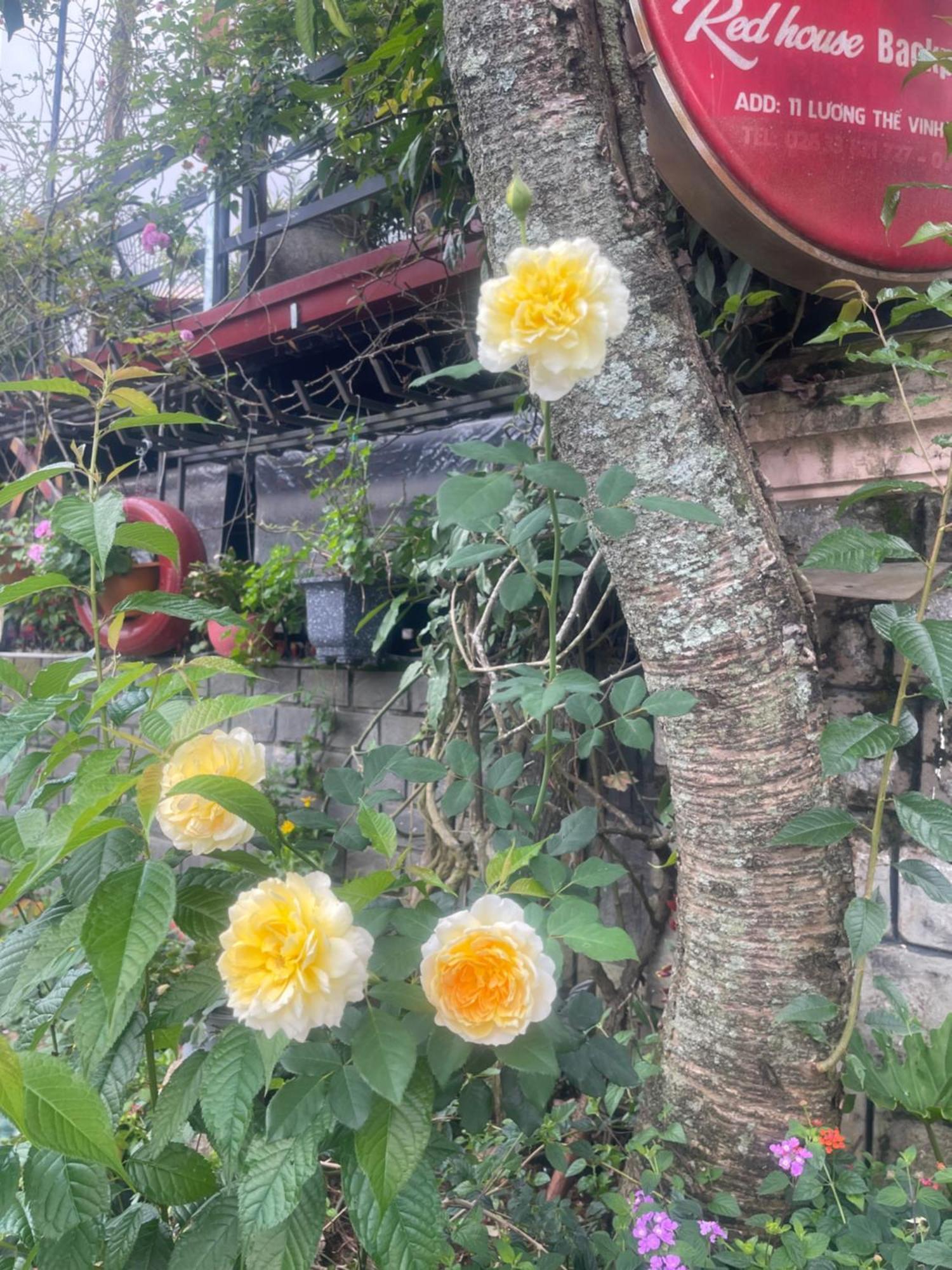 Redhouse Dalat Hotel Da Lat Exterior foto